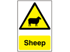 Sheep warning sign.