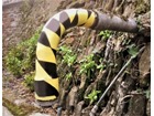 Safety and floor marking tape, black and yellow chevron.