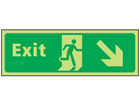 Exit arrow down right photoluminescent sign.