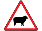 Sheep sign