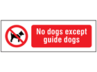 No dogs except guide dogs symbol and text safety sign.