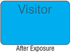Visitor light sensitive security badge