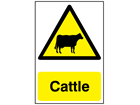 Cattle warning safety sign.