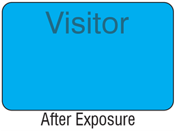 Visitor light sensitive security badge