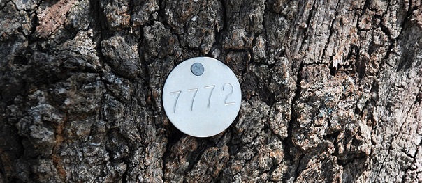 Cheap Metal Tags